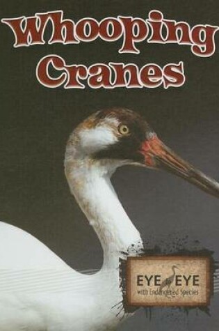 Cover of Whooping Cranes