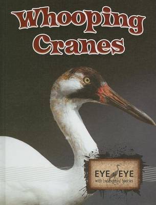 Book cover for Whooping Cranes