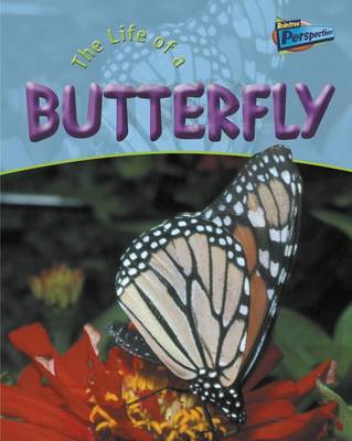 Book cover for Life of a Butterfly