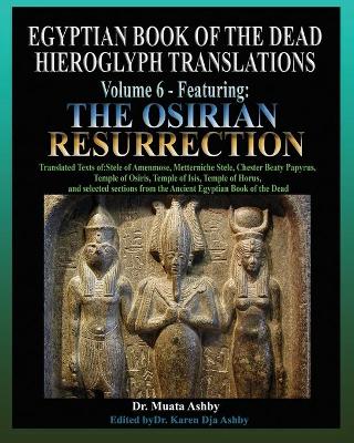Book cover for Egyptian Book of the Dead Hieroglyph Translations Volume 6 Featuring The Osirian Resurrection