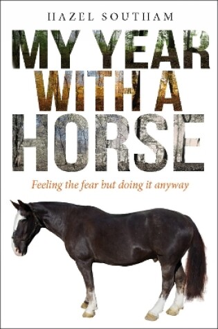 Cover of My Year With a Horse