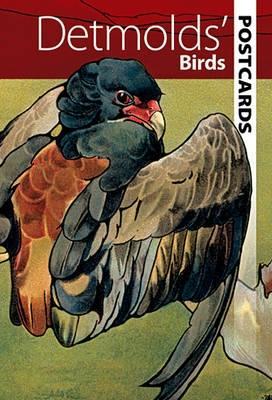 Cover of Detmolds' Birds