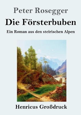Book cover for Die Försterbuben (Großdruck)