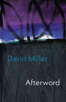 Book cover for Afterword