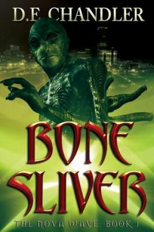 Cover of Bone Sliver