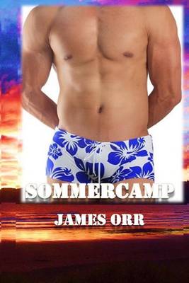 Book cover for Sommercamp