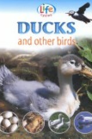 Cover of Ducks and Other Birds
