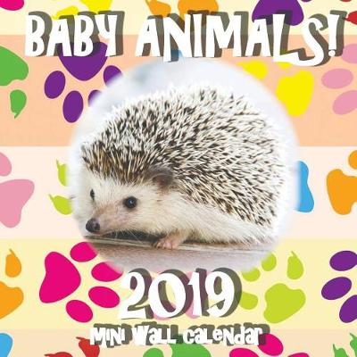 Cover of Baby Animals! 2019 Mini Wall Calendar