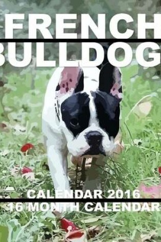 Cover of French Bulldogs Calendar 2016