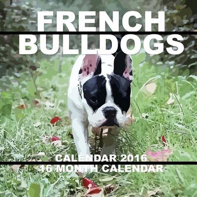 Book cover for French Bulldogs Calendar 2016