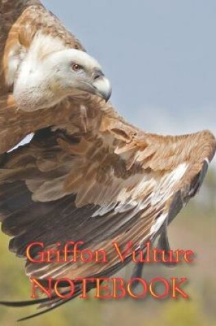 Cover of Griffon Vulture NOTEBOOK