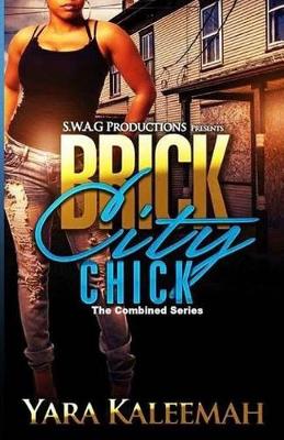 Cover of Brick City Chick