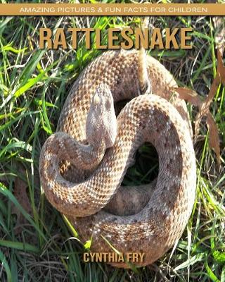 Book cover for Rattlesnake