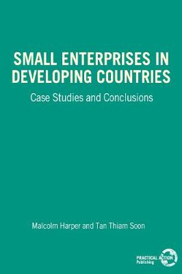 Book cover for Small Enterprises in Developing Countries