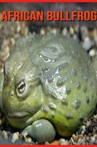 Cover of African Bullfrog