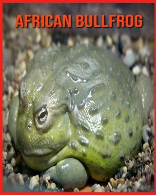 Book cover for African Bullfrog