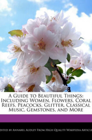 Cover of A Guide to Beautiful Things