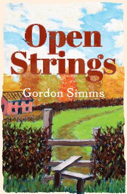 Book cover for Open Strings