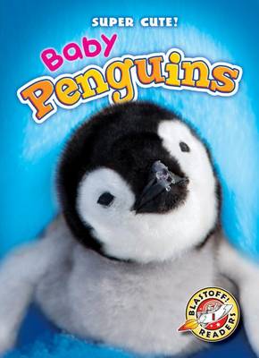 Cover of Baby Penguins