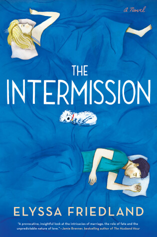 Book cover for The Intermission