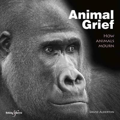 Book cover for Animal Grief