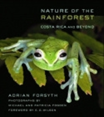 Cover of Nature of the Rainforest