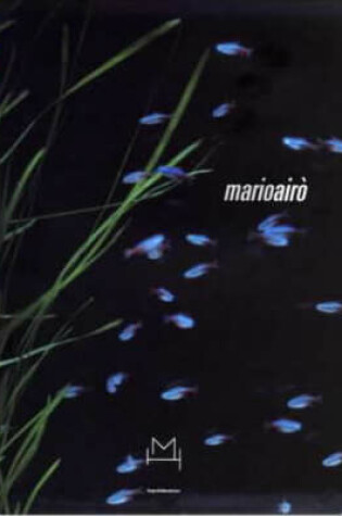Cover of Mario Airo