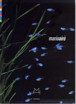 Book cover for Mario Airo