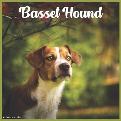 Book cover for Basset Hound 2022 Calendar