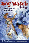 Book cover for Danger at Snow Hill