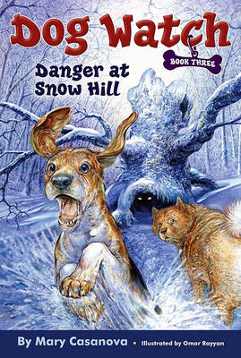 Cover of Danger at Snow Hill