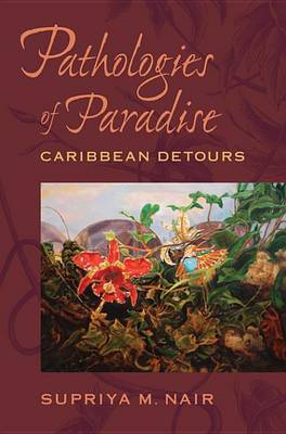 Book cover for Pathologies of Paradise