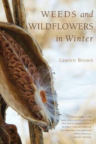 Cover of Weeds and Wildflowers in Winter