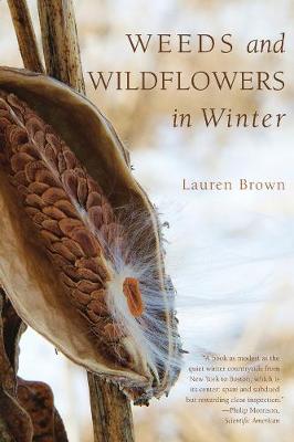 Book cover for Weeds and Wildflowers in Winter