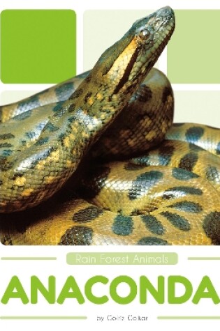 Cover of Rain Forest Animals: Anacondas