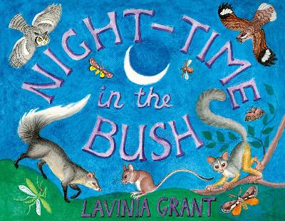 Cover of Night-time In The Bush