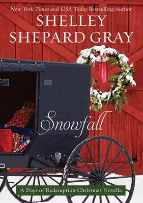 Book cover for Snowfall