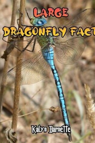 Cover of Large Dragonfly Fact