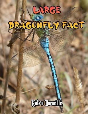 Book cover for Large Dragonfly Fact