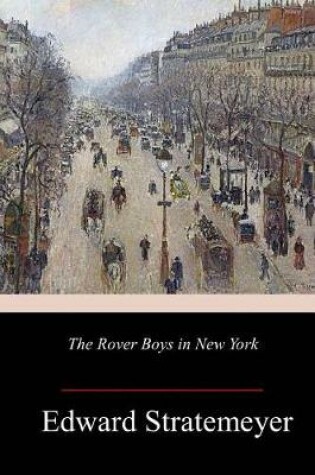 Cover of The Rover Boys in New York