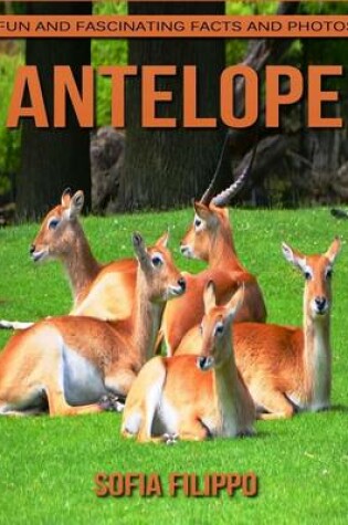 Cover of Antelope