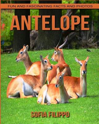 Book cover for Antelope