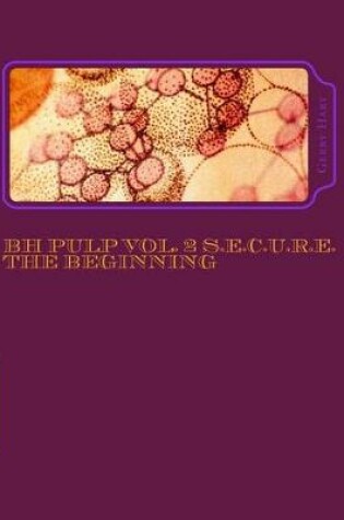 Cover of BH Pulp Vol. 2 S.E.C.U.R.E. The Beginning