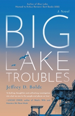 Book cover for Big Lake Troubles