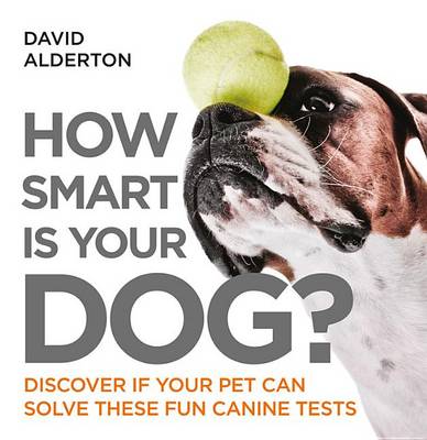 Book cover for How Smart Is Your Dog?
