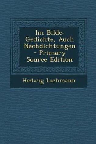 Cover of Im Bilde