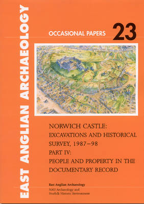 Book cover for Norwich Castle