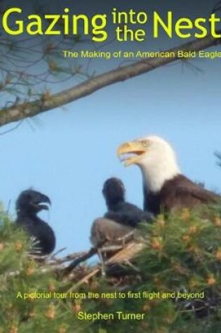 Cover of Gazing Into the Nest