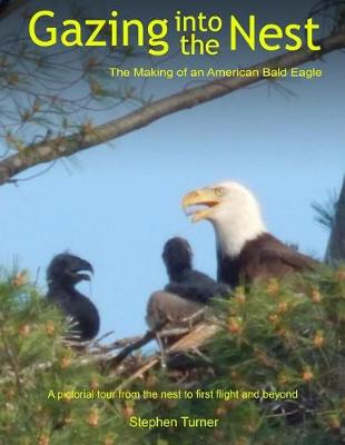 Cover of Gazing Into the Nest