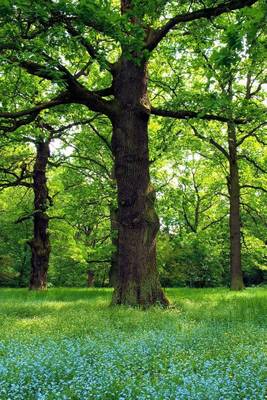 Book cover for Magical Oak Trees Journal